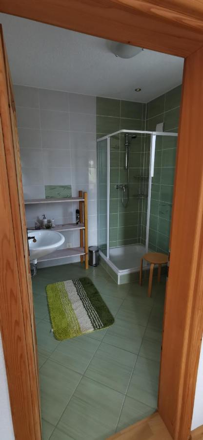 Villa Bora Moscenicka Draga Bed&Breakfast Moscenice Esterno foto
